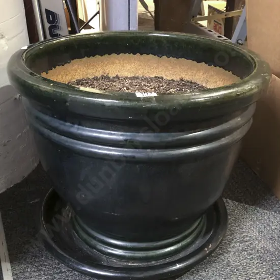 Green Glazed Plant Pot