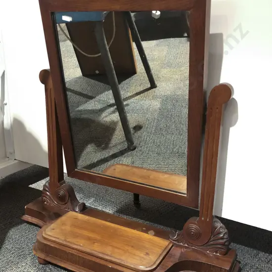 Toilet Swing Mirror (Missing Finials)
