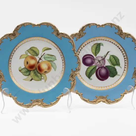 Pair Mid C19th English Botanical Plates