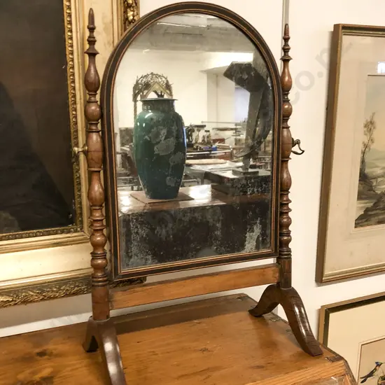 Small Regency Rosewood Swing Toilet Mirror