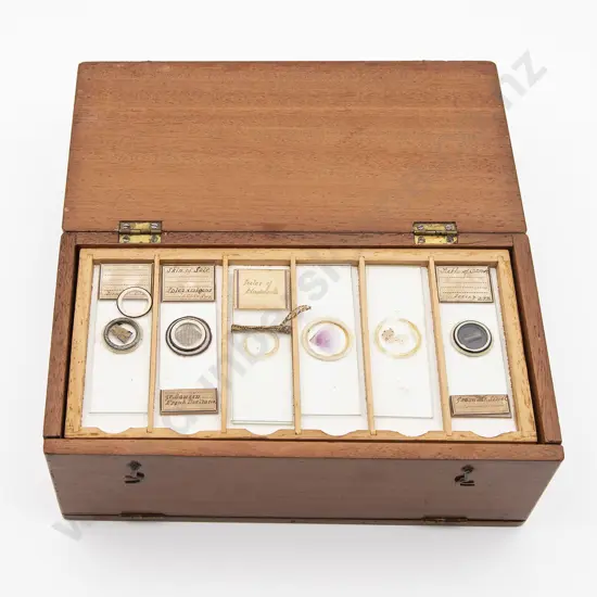Mahogany Scientific Glass Specimen Slide Box