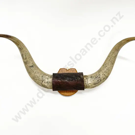 C19th Scrimshaw Cattle Horns