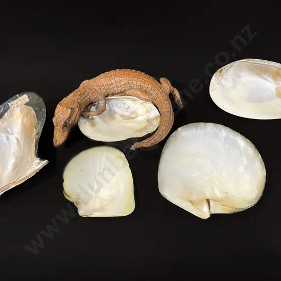 Crocodile shell dish and four other shells