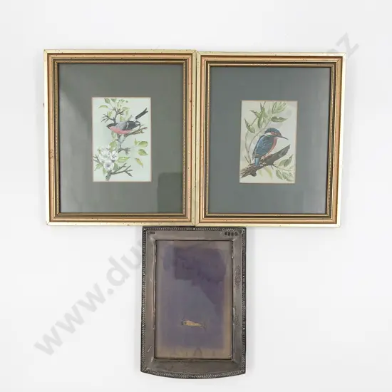 Pair of Gilt Framed Bird Paintings and S/S Photo Frame