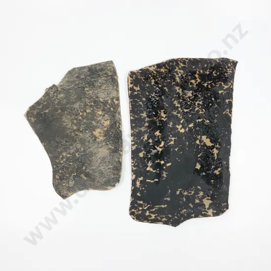 Two Sheets of Turtle Shell for Lacquering