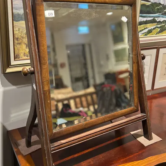 Antique Toilet Swing Mirror