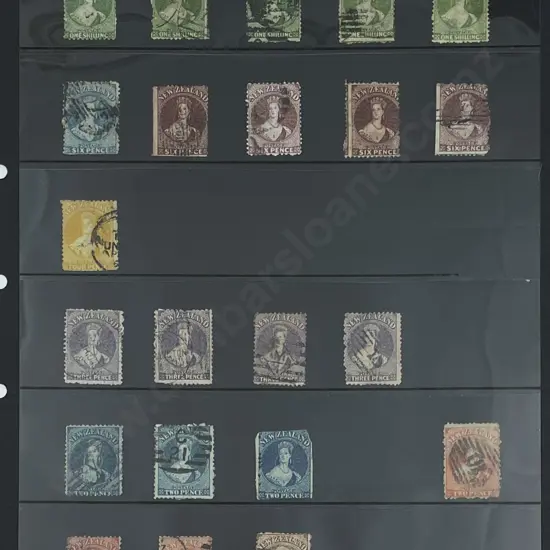 Collection NZ Full Face Queens/Chalon Heads