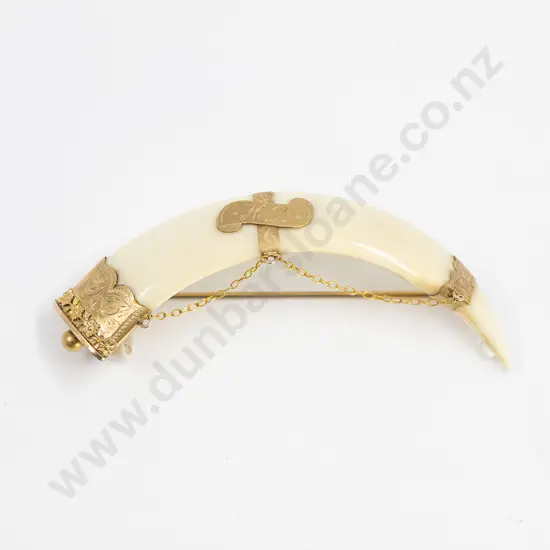 NZ Colonial 15ct Gold Mounted Tusk Brooch