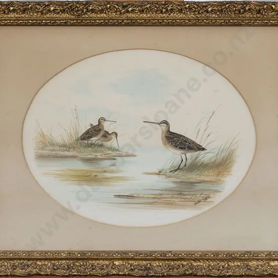 Neville Henry Cayley (Australian 1854 - 1903) - Snipe by the River