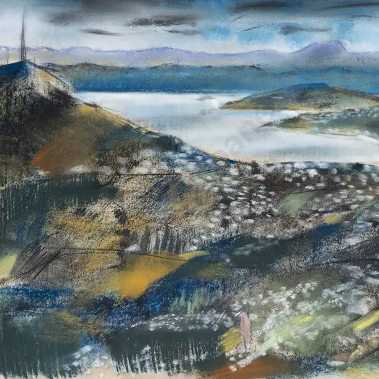 John Drawbridge (1930 - 2005) - Wellington from Johnston's Hill