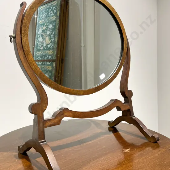 Oval Toilet Swing Mirror