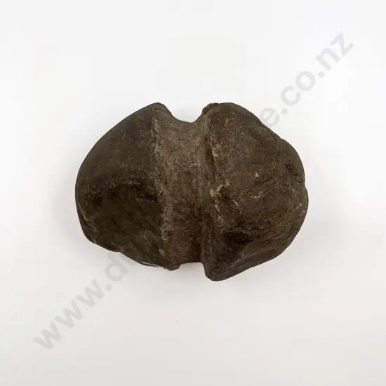 A Large Mahe (Stone Sinker)