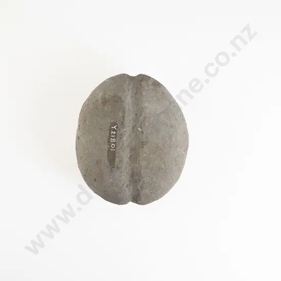 A Large Mahe (Stone Sinker)