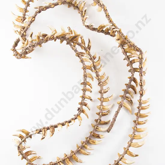 A Papua New Guinea Warriors Dog Tooth Necklace