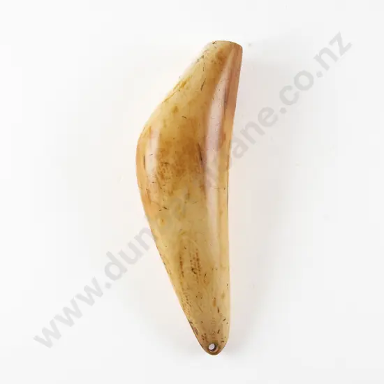 A Fijian Tabua (Ceremonial Marine Ivory Tooth)