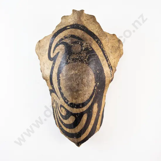 Jaw Bone Codpiece From Papua New Guinea