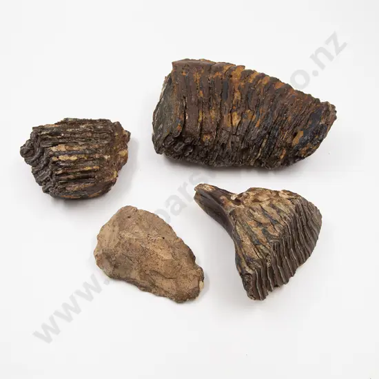 A Neanderthal Hand Axe And Three Mammoth Tooth Fossils