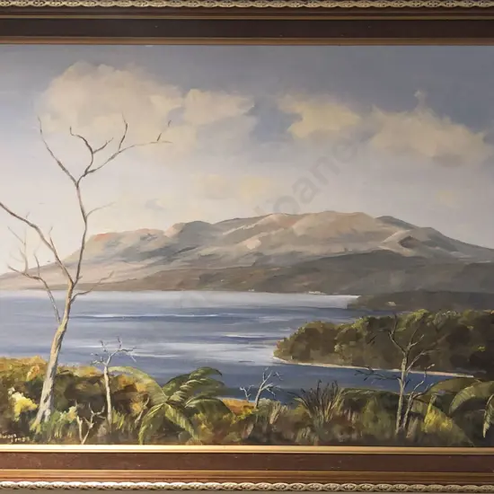 P Jackways - Mt Tarawera - Oil on Board