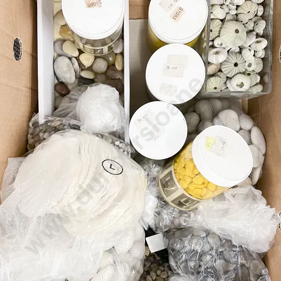 Large Quantity of Assorted Stones and Shells Etc.