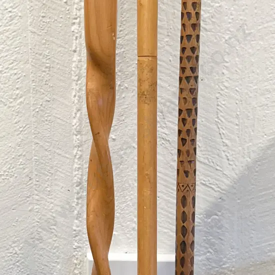 Three Walking Sticks