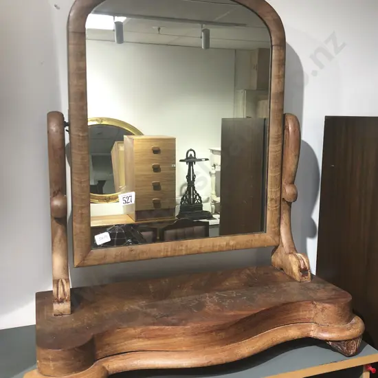 Toilet Swing Mirror
