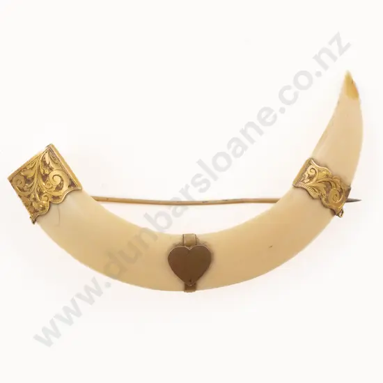 9ct Mounted Boar Tusk Brooch