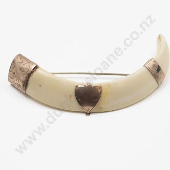 9ct Mounted Tusk Brooch