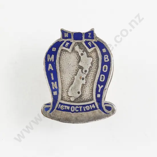 NZ Silver & Enamel Brooch