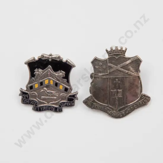 Two NZ Silver School Badges