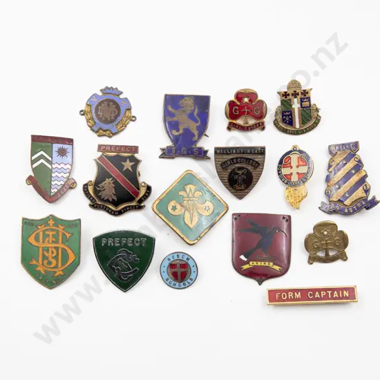 Collection NZ School and Girl Guide Enamelled Badges (16)