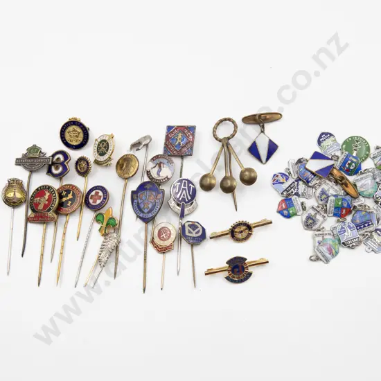 Collection Various Association Lapel Pins and Brooches (22)