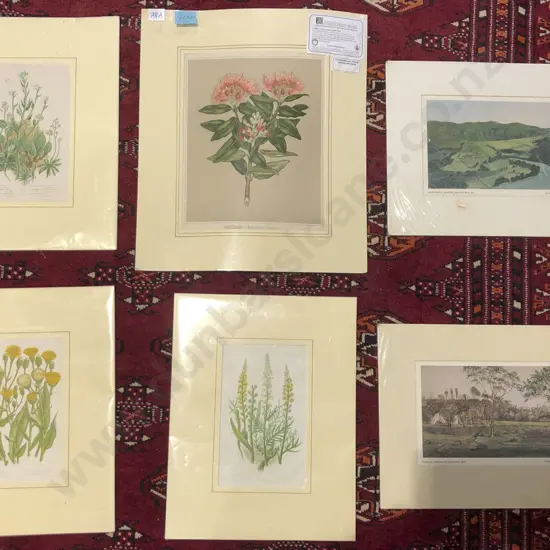 Four Unframed Botanical Studies Together with Two Alfred John Cooper Unframed Prints
