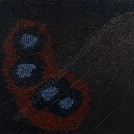 Carol Anne Bauer - Red Admiral