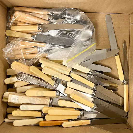 Box of Mostly Bone Handled Cutlery
