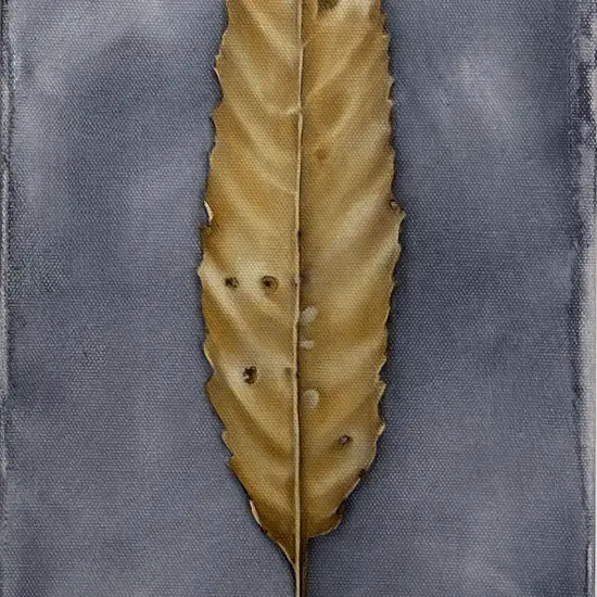 Unknown Artist - A Leaf I Found On The Footpath