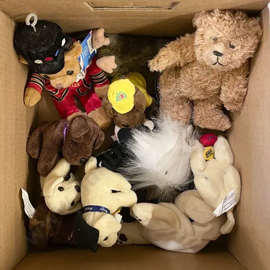 Box of Assorted Stuffed Toys