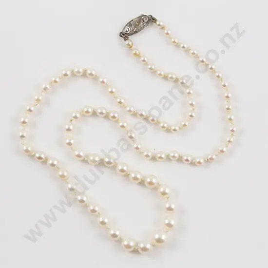 Single Strand Graduated Cultured Pearl Necklace