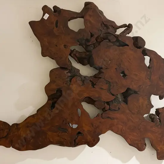 Wall Mounted Sectional Piece of Swamp Kauri