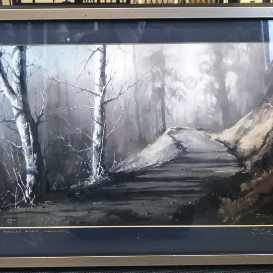 Brian Baxter - Forest Walk Hanmer - Signed Print