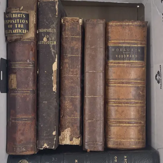 Small Carton Of Antiquarian Volumes