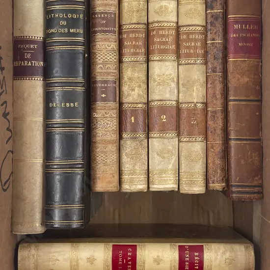 Carton Of Antiquarian German & French Leather Bound Volumes