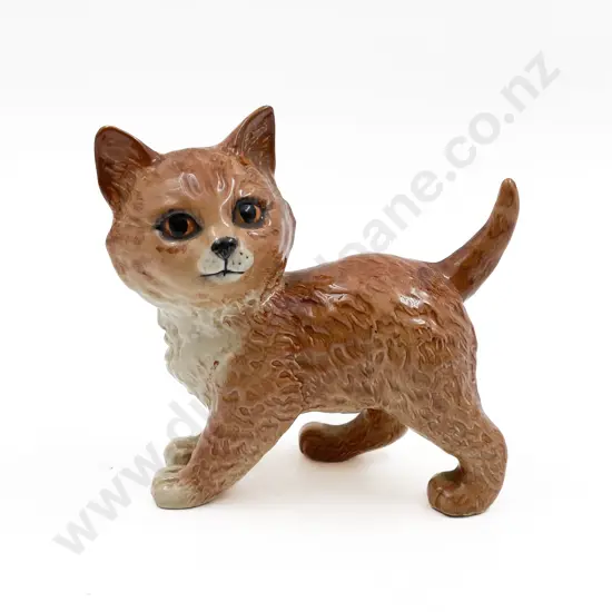 Ginger Beswick Cat