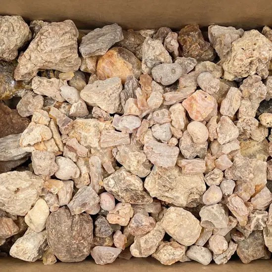 Box of Assorted Kauri Gum