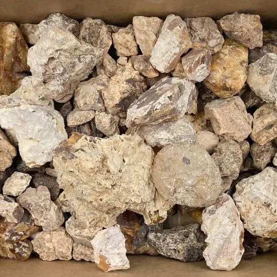 Box of Assorted Kauri Gum