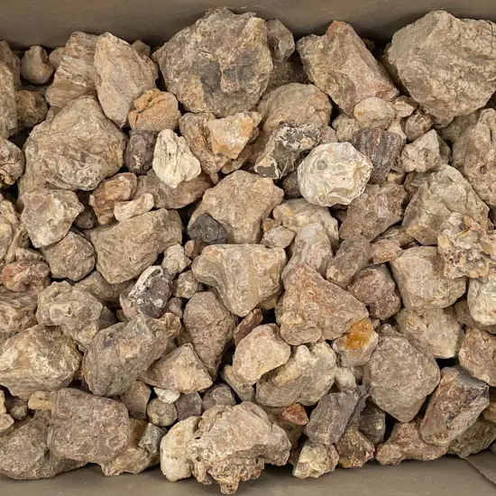 Box of Assorted Kauri Gum