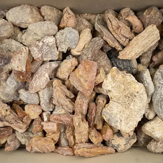 Box of Assorted Kauri Gum