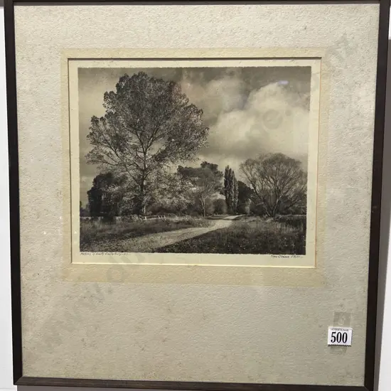 George Chance - 'Autumn in South Canterbury' - Gelatin Silver Photograph