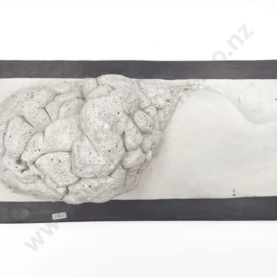 Free Form Sculpture on Base