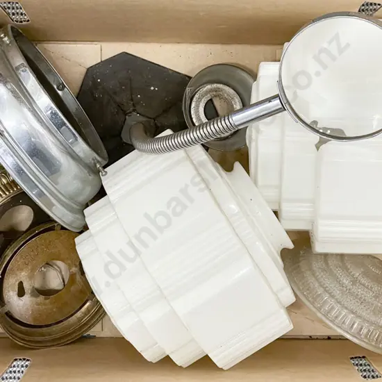 Vintage Adjustable Magnifier with Assorted Glass Light Shades