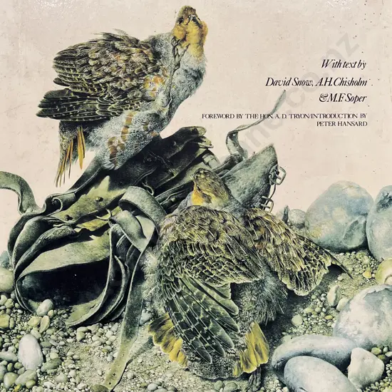 Raymond Ching "The Bird Paintings"